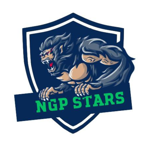 NGP Stars