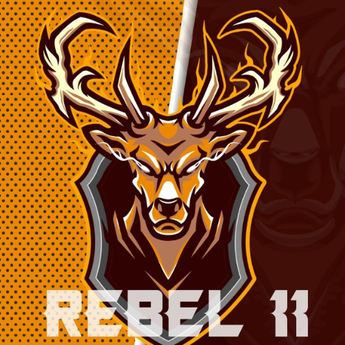 Rebel XI