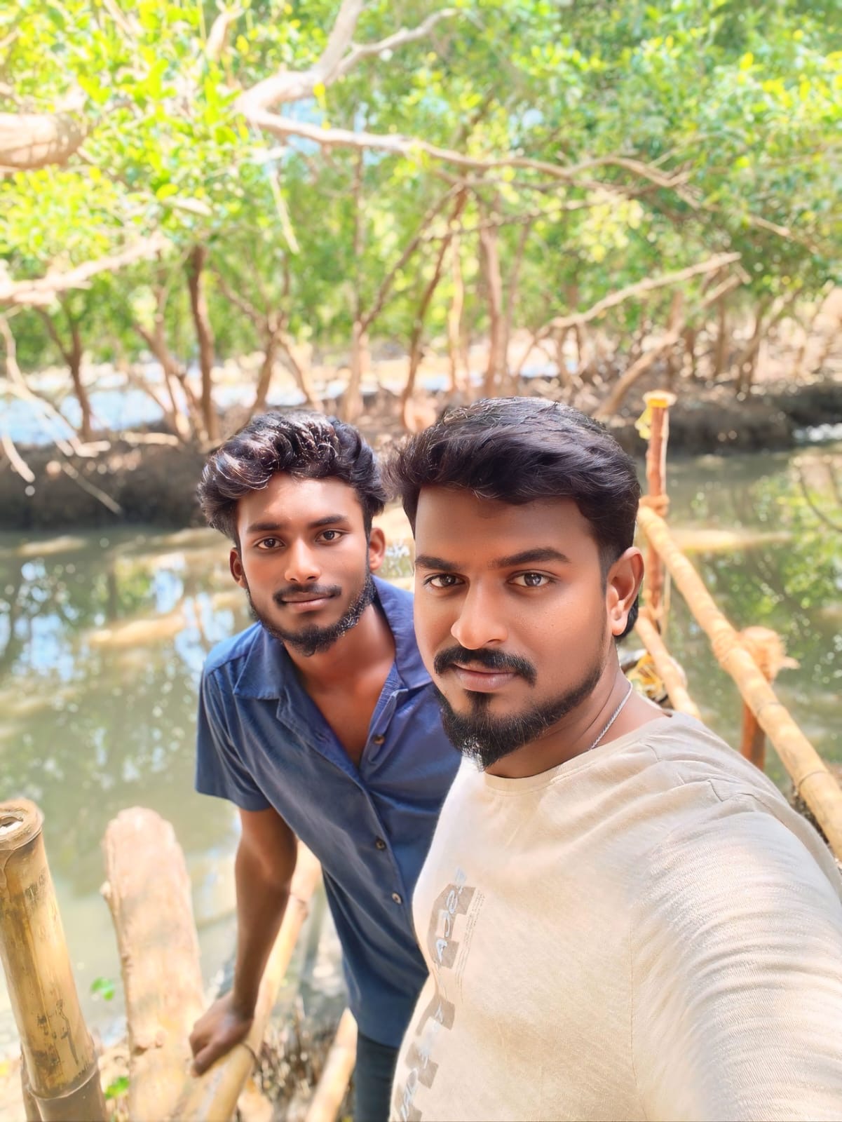 Parthu