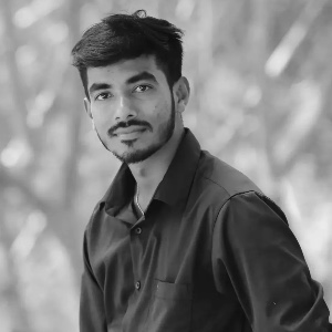 Rajesh Razz